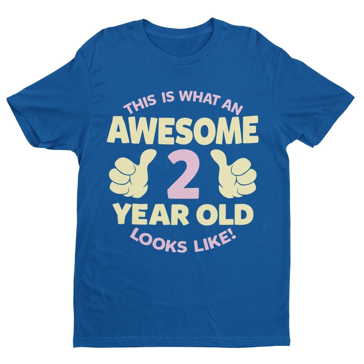Girls 2nd Birthday T Shirt This Is What An Awesome 2 Year Old Looks LGalaxy Tees