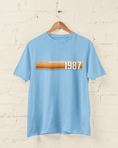 Sky Blue Established 1987 vintage strip T-shirt hanging on a wooden hanger