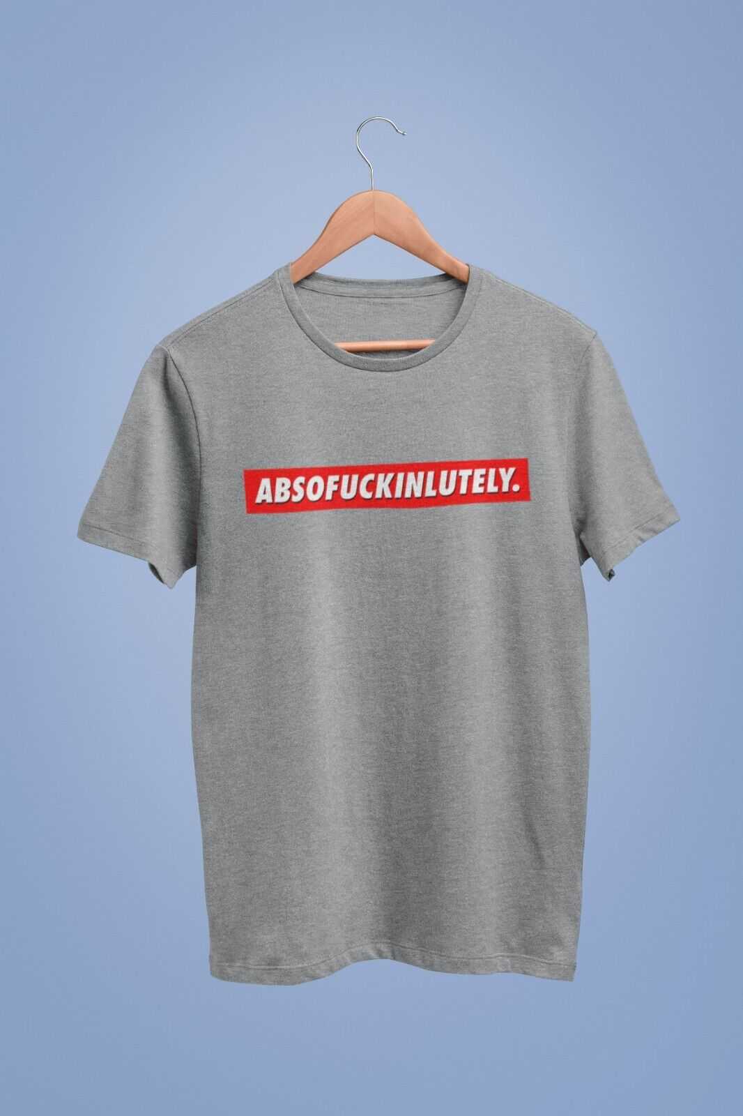 Funny Sarcastic Rude T Shirt ABSOFUCKINLUTELY Gift Idea Banter Don't CGalaxy Tees