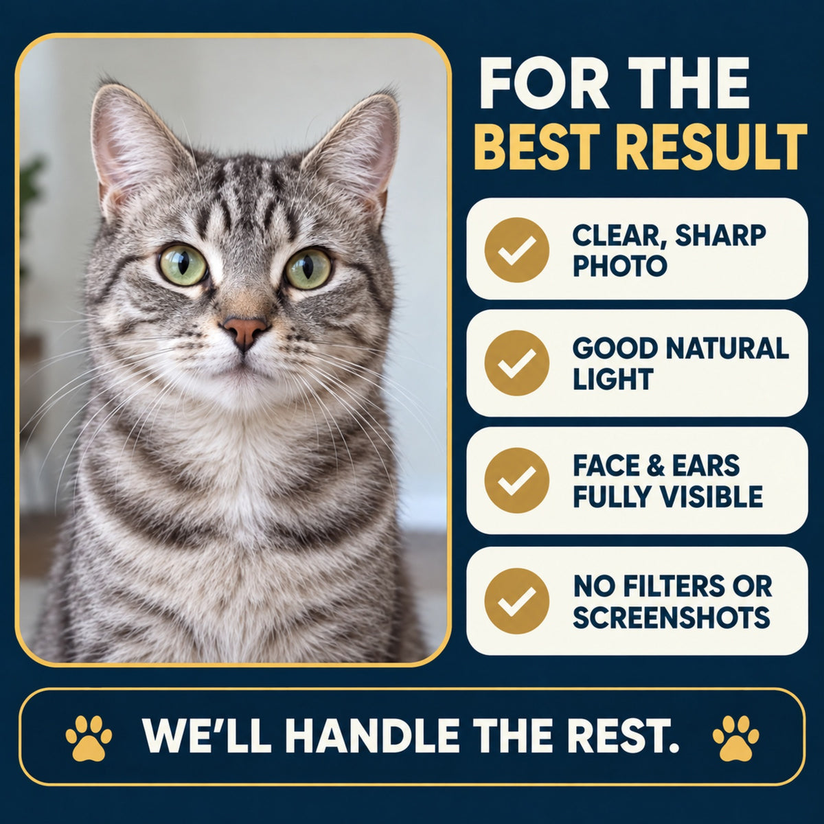 Personalised Cat Portrait T-Shirt – Custom Pet Photo & Text Unisex Gift