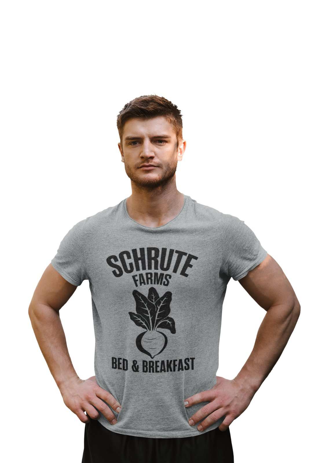 Schrute Farms Bed And Breakfast T Shirt Funny Office The Dwight Mose BGalaxy Tees