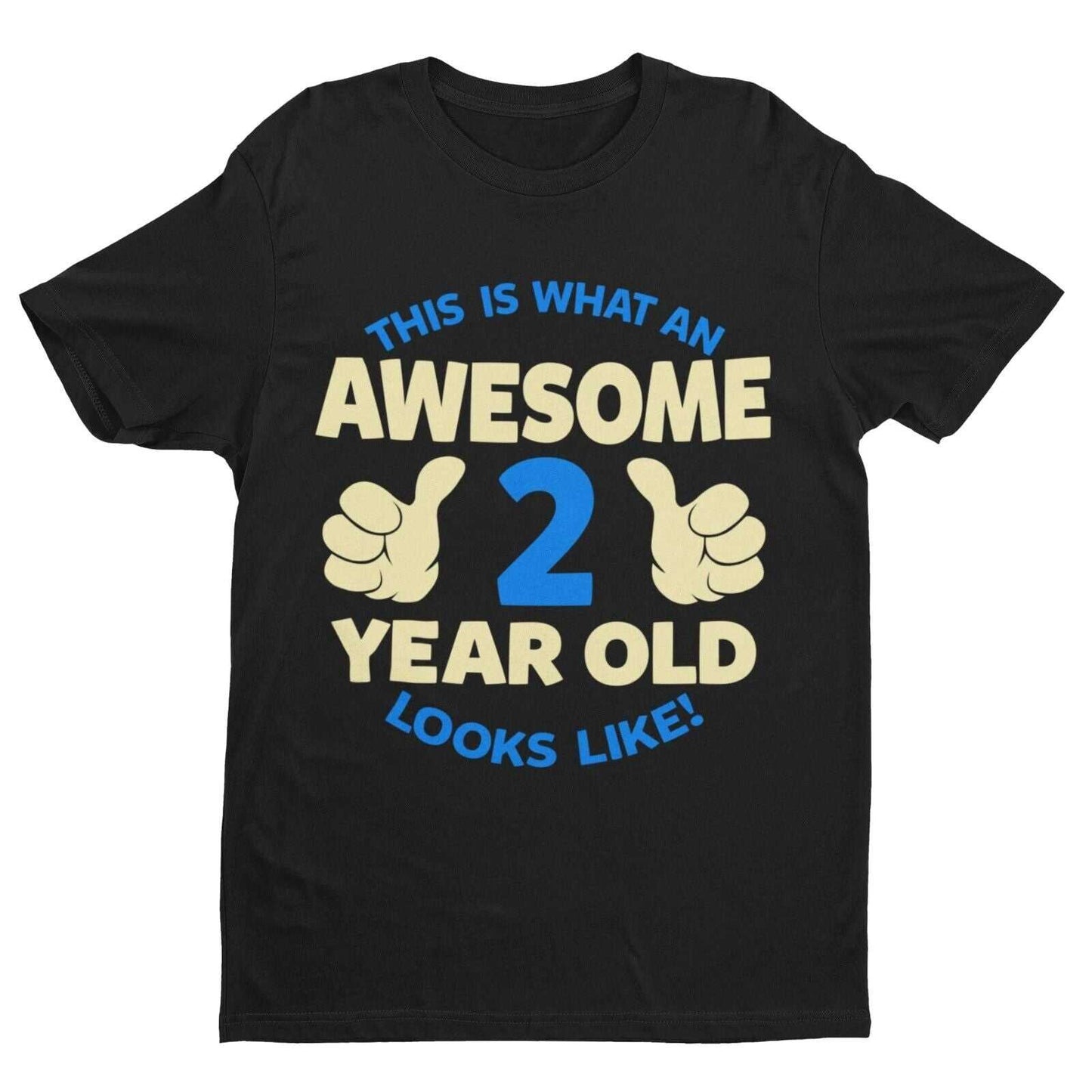 Boys 2nd Birthday T-Shirt This Is What An Awesome 2 Year Old looks Like Gift