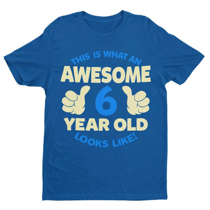 Boys 6th Birthday T-Shirt This Is What An Awesome 6 Year Old looks Like Gift