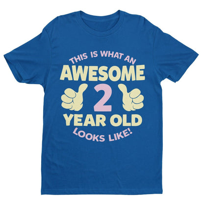 Girls 2nd Birthday T-Shirt This Is What An Awesome 2 Year Old Looks Like Gift